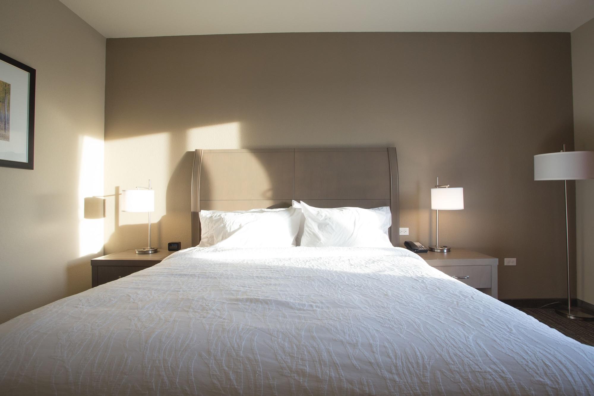 Hilton Garden Inn Bolingbrook I-55 Zewnętrze zdjęcie